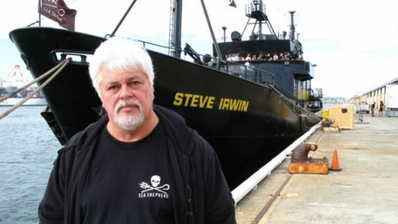 Photo du film Eco-Pirate: The Story of Paul Watson