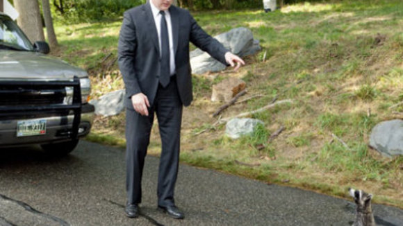 Photo du film Petite vengeance poilue