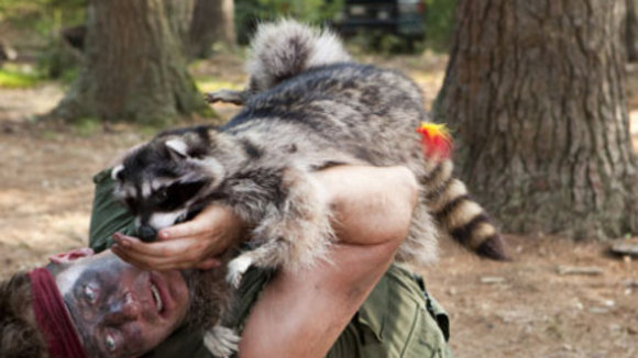 Photo du film Petite vengeance poilue