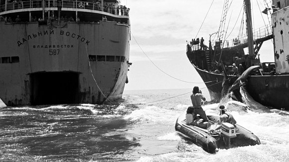 Photo from the movie How to Change the World