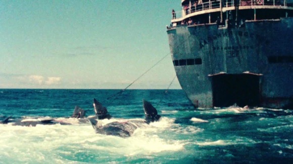 Photo from the movie How to Change the World