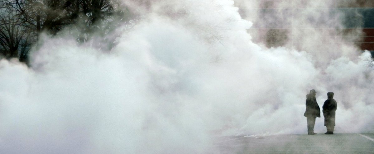 Photo du film The American Question