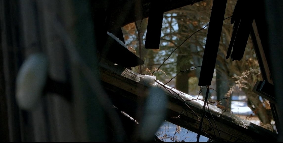 Photo du film The American Question