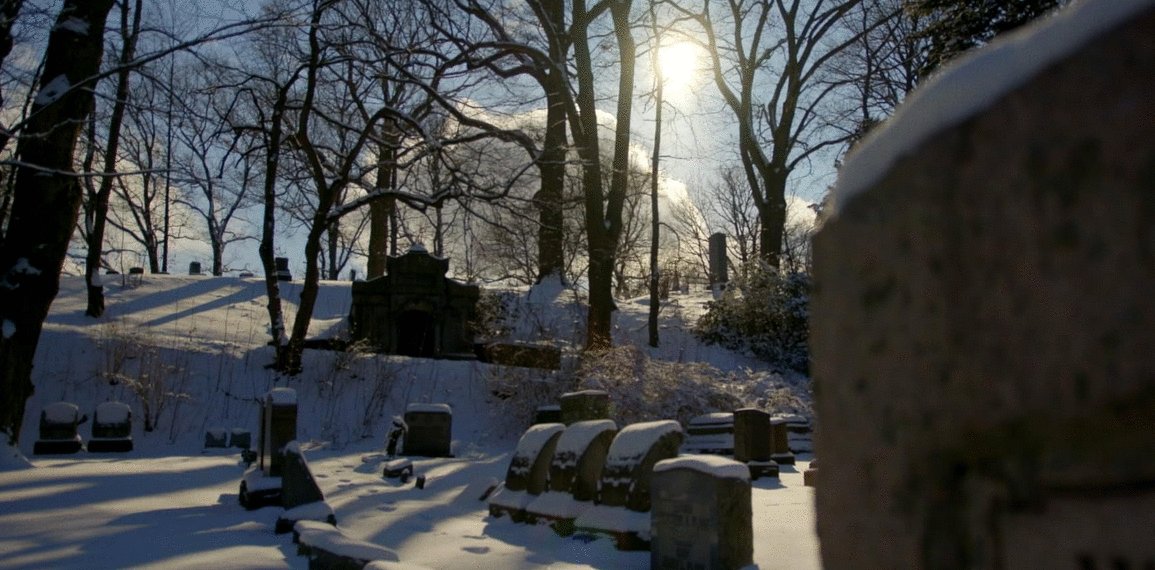 Photo du film The American Question