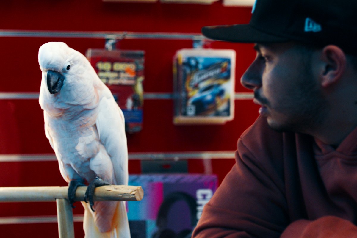 Photo du film Challenger