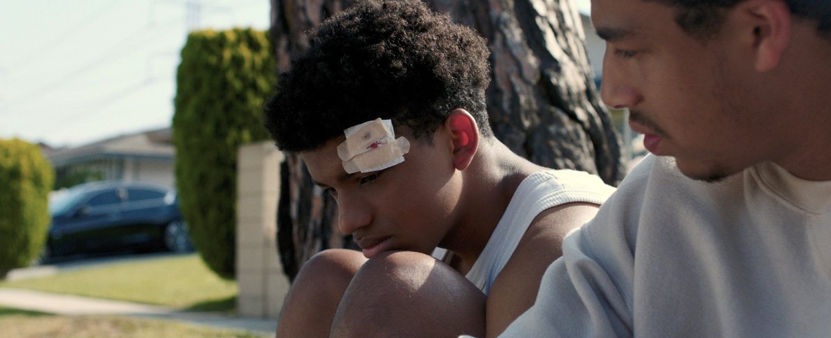 Photo from the movie How I Learned to Fly