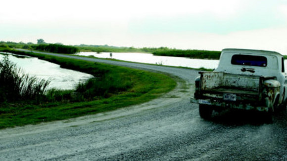 Photo from the movie Little Chenier