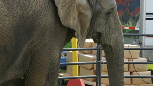 Photo du film Sophie