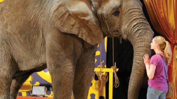 Photo du film Sophie