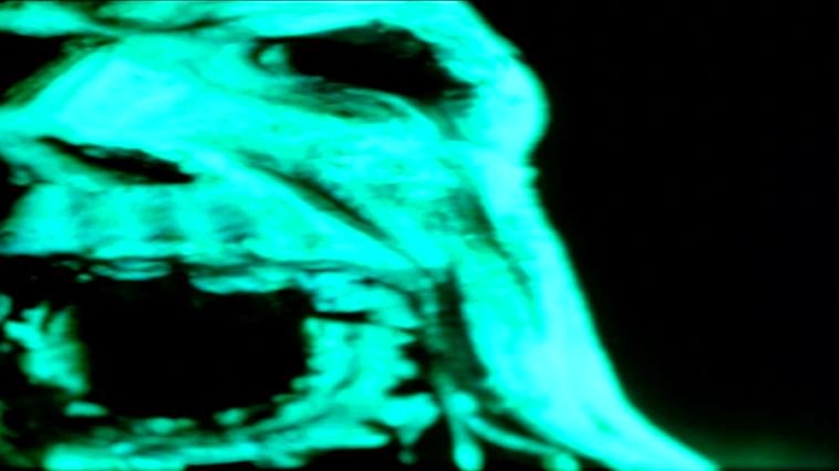 Photo du film The Asphyx