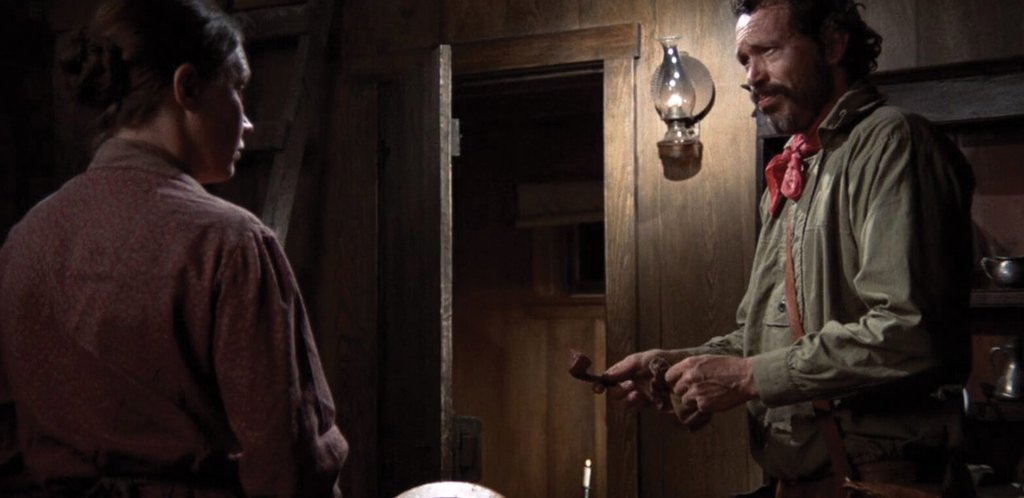 Photo du film The Hired Hand