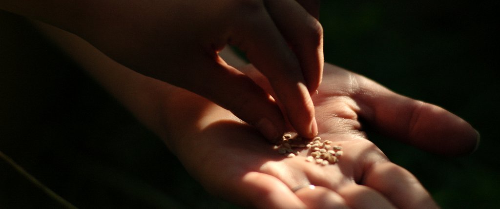 Photo du film The Seeker