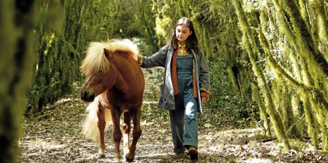 Photo from the movie Poly