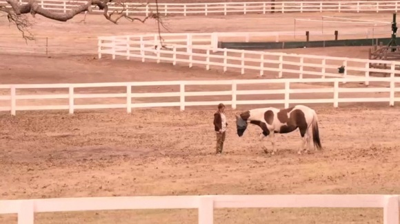 Photo du film Girl on the Edge