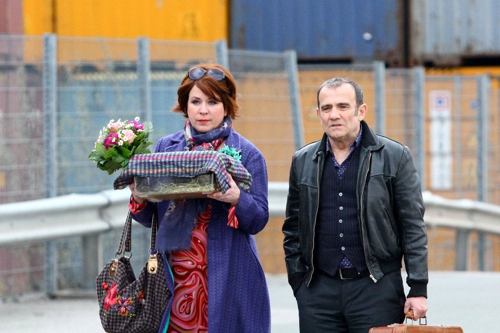 Photo du film Mon ami Raffi