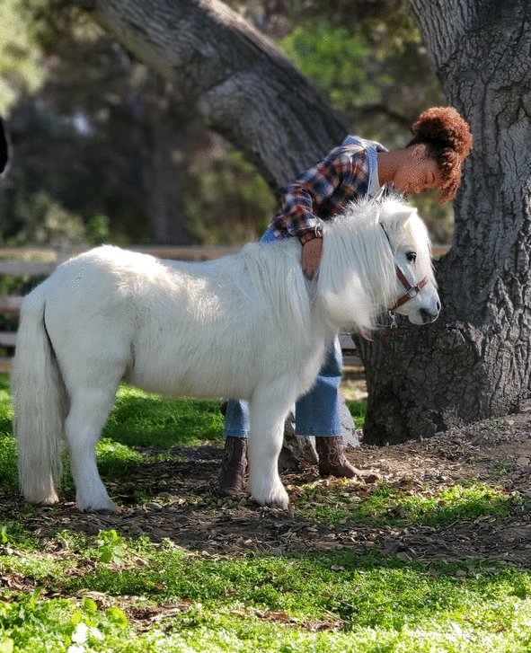 Photo du film The Legend of Catclaws Mountain