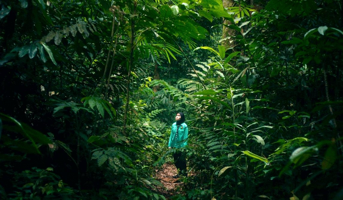 Photo from the movie Tiger Stripes [2023]