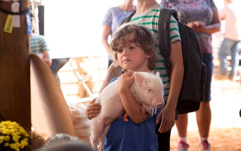 Photo from the movie Diary of a Wimpy Kid: The Long Haul