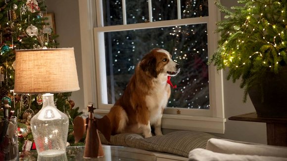 Photo from the movie Love the Coopers