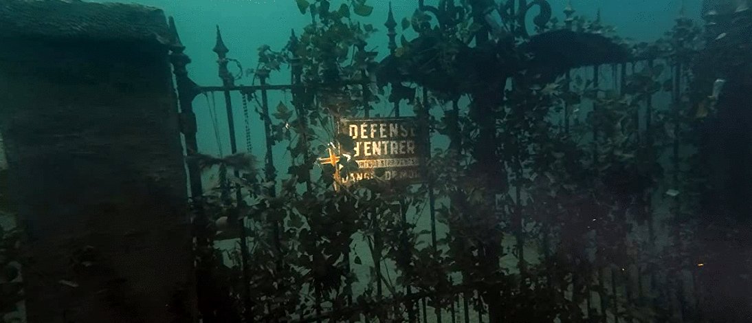 Photo du film The Deep House