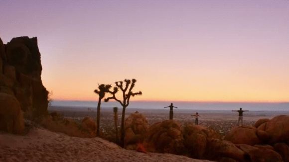 Photo du film Wish I Was Here