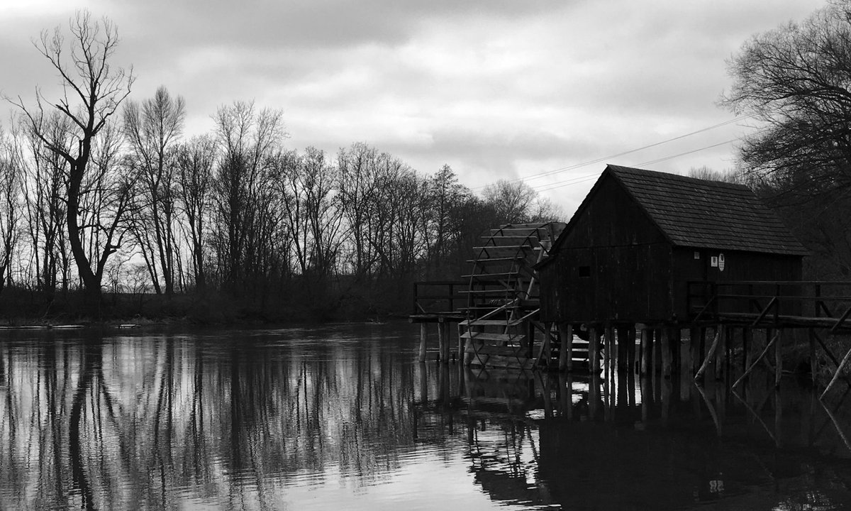 Photo du film L'oiseau bariolé