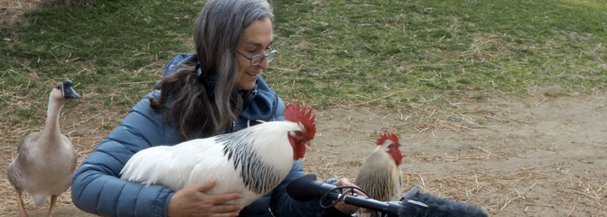 Photo du film La saveur d'une vie