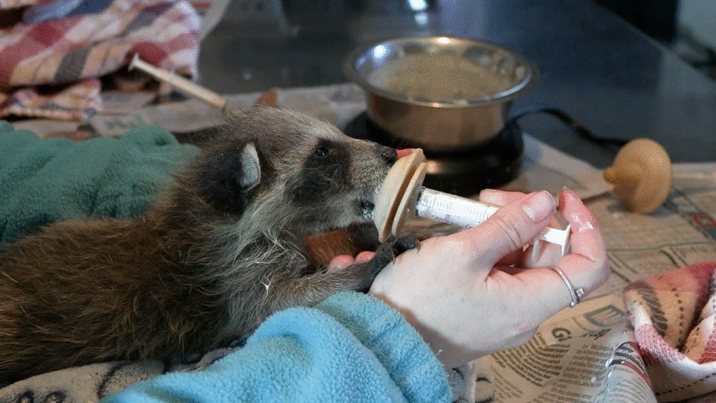 Photo du film La saveur d'une vie