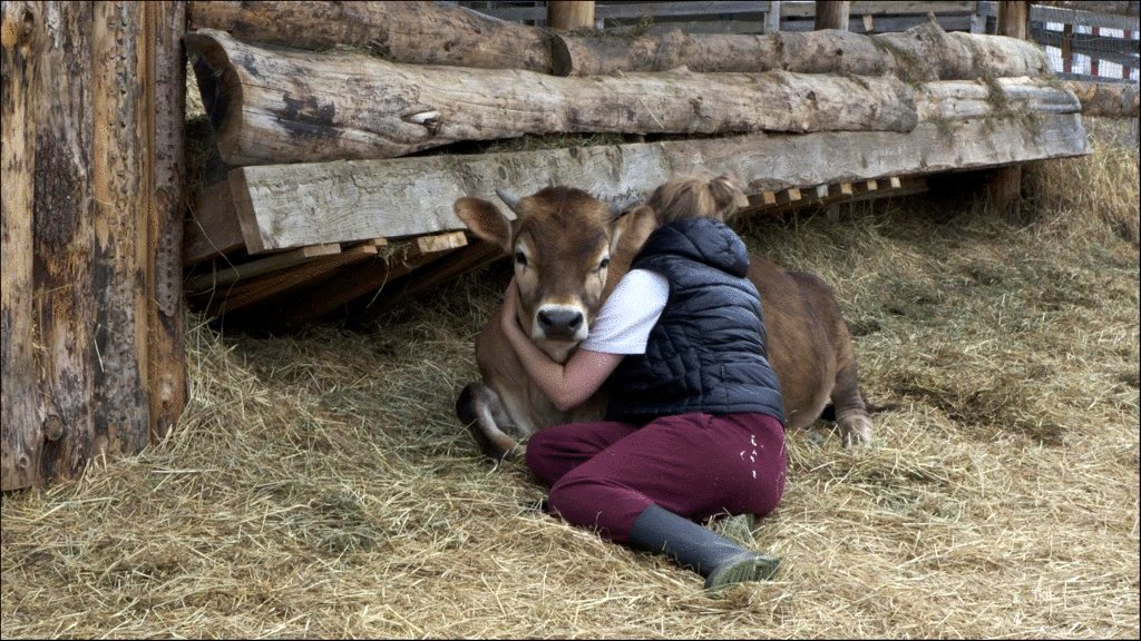 Photo du film La saveur d'une vie