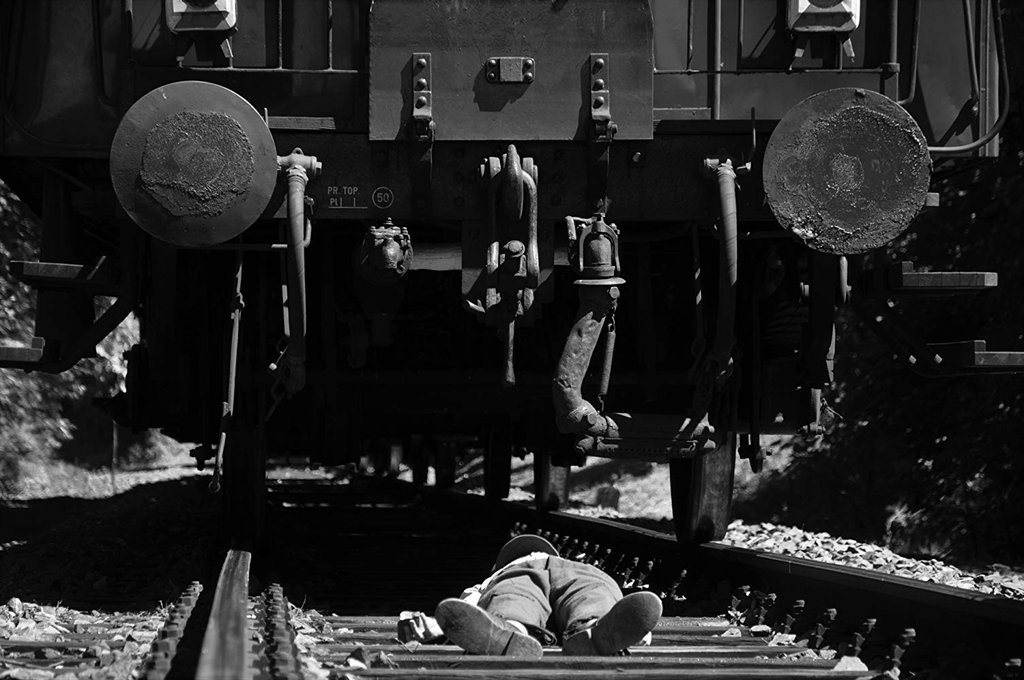 Photo du film L'oiseau bariolé