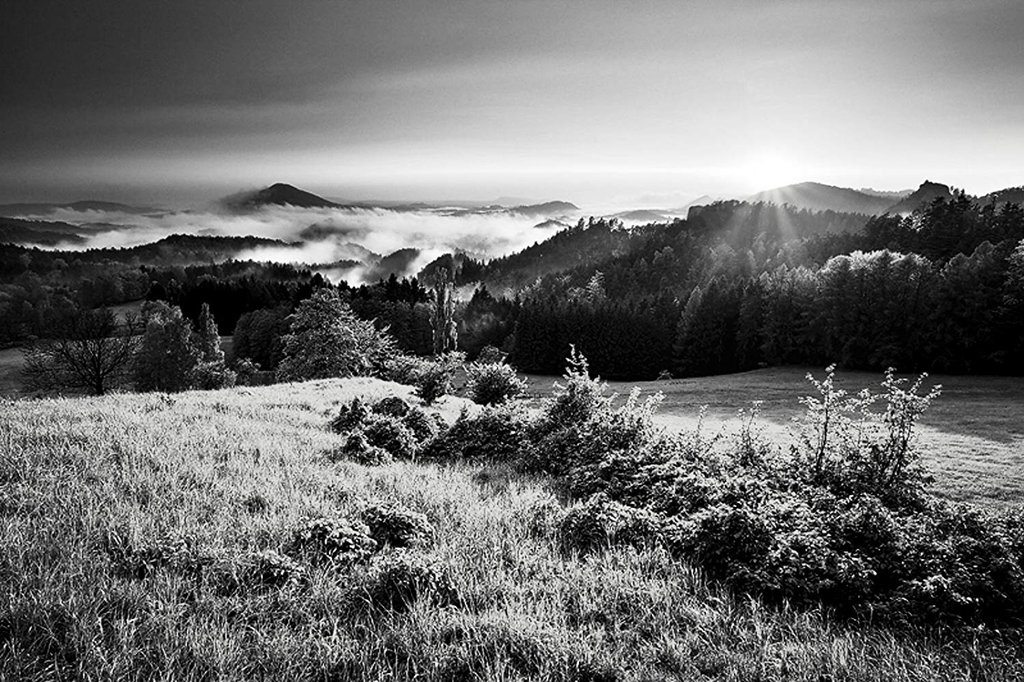 Photo du film L'oiseau bariolé