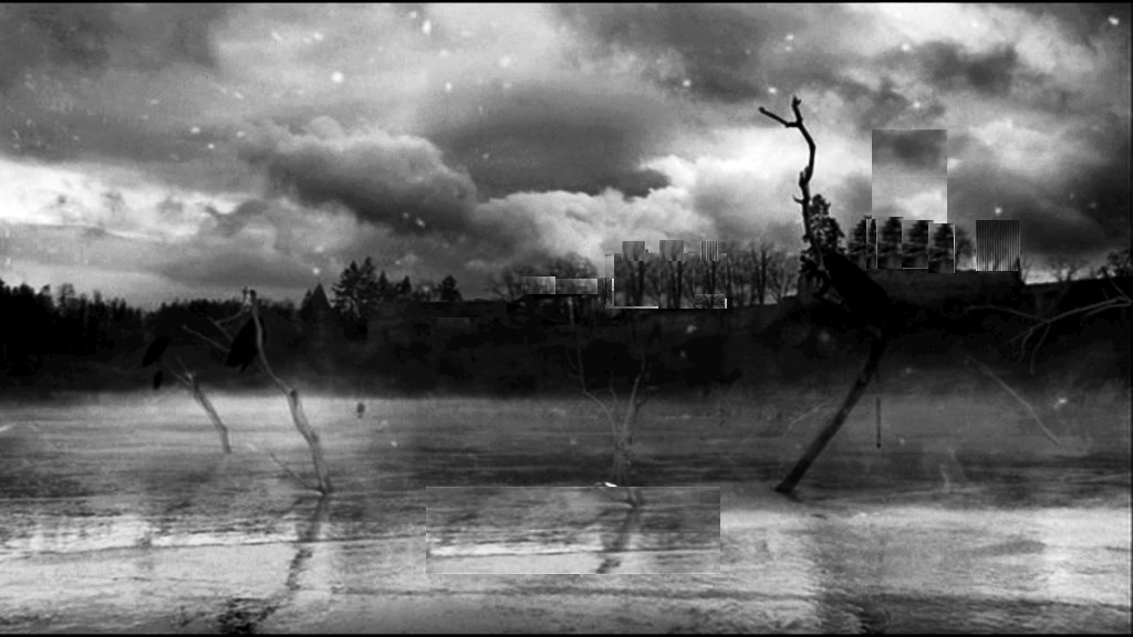 Photo du film L'oiseau bariolé