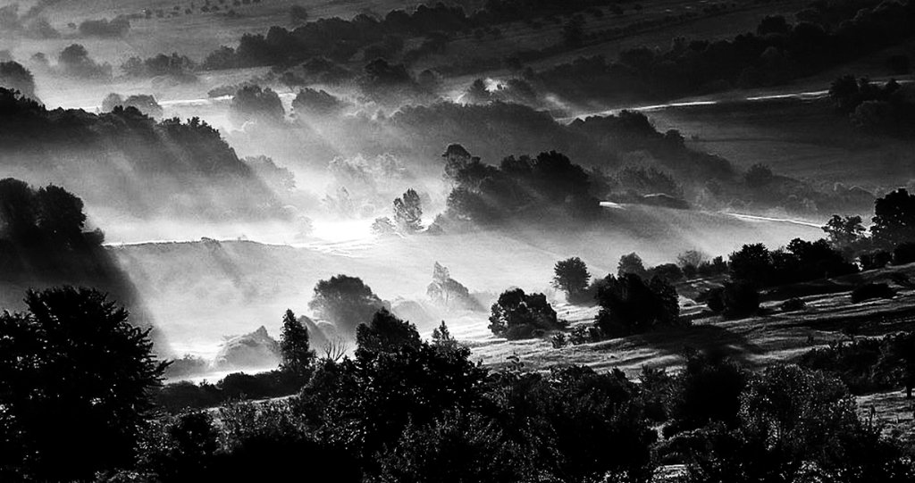 Photo du film L'oiseau bariolé
