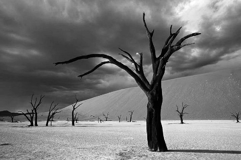 Photo du film L'oiseau bariolé