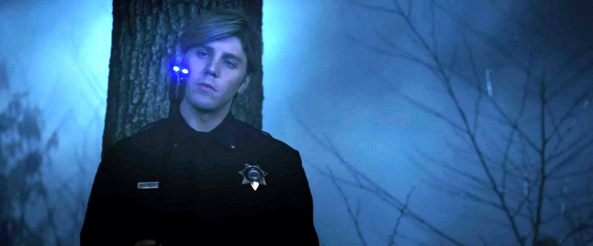 Photo du film Compagnon v.f.