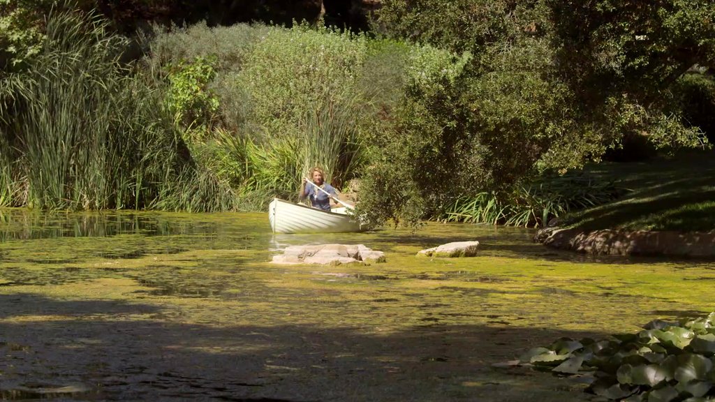 Photo from the movie Freshwater