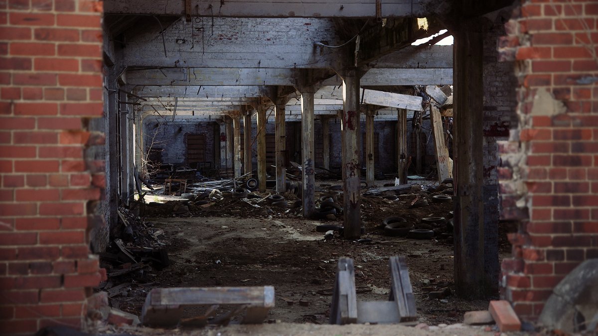 Photo du film Greyland