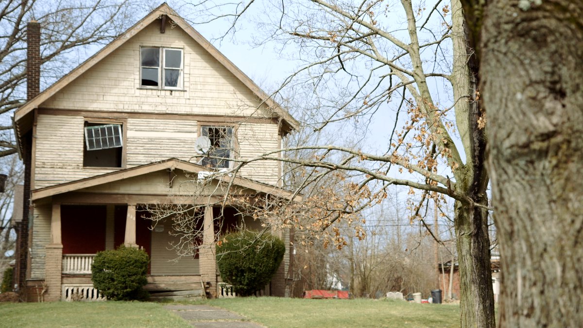 Photo du film Greyland