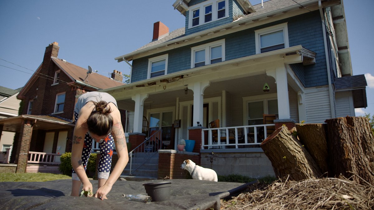 Photo du film Greyland