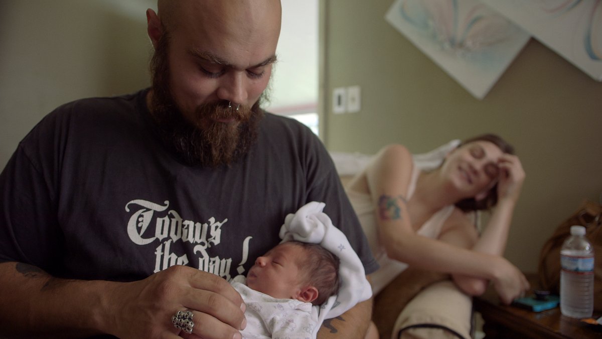 Photo du film Greyland