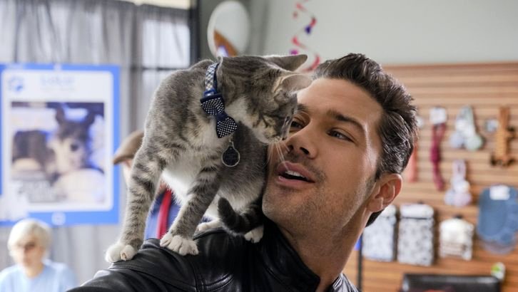 Photo du film Matching Hearts