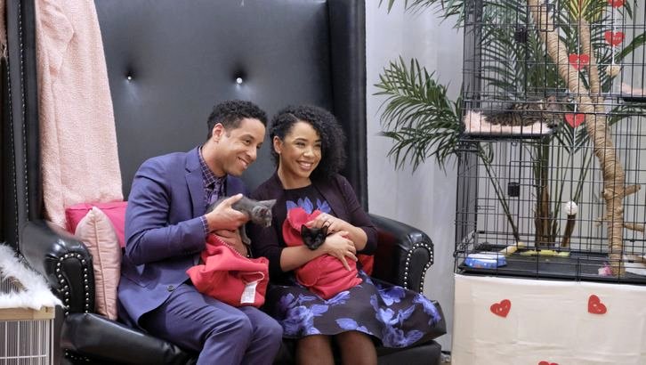 Photo du film Matching Hearts