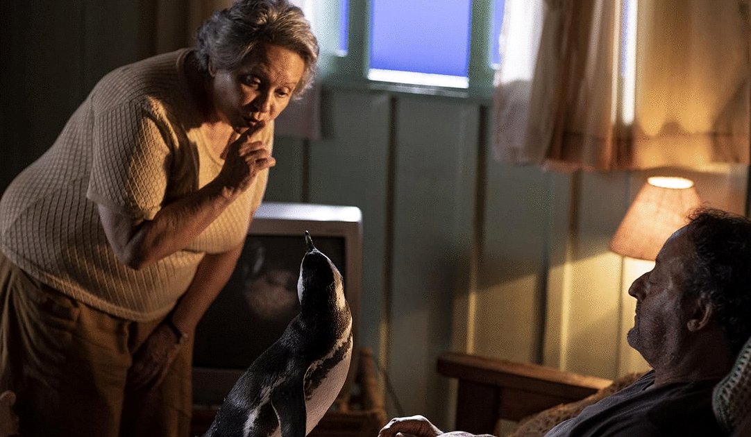 Photo du film Mon ami le pingouin