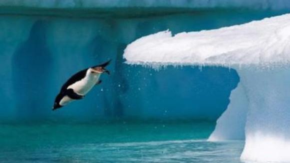 Photo du film Océans v.f.