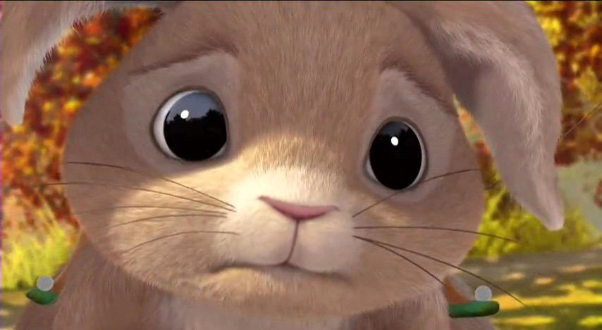 Photo du film Le Secret des Ailes Magiques