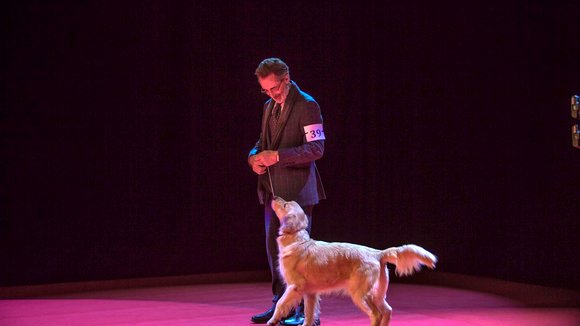 Photo du film La Nouvelle vie de Paul Sneijder