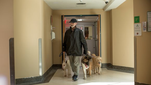 Photo du film La Nouvelle vie de Paul Sneijder