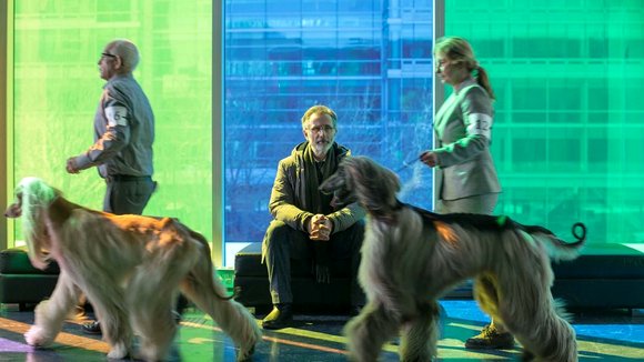 Photo du film La Nouvelle vie de Paul Sneijder