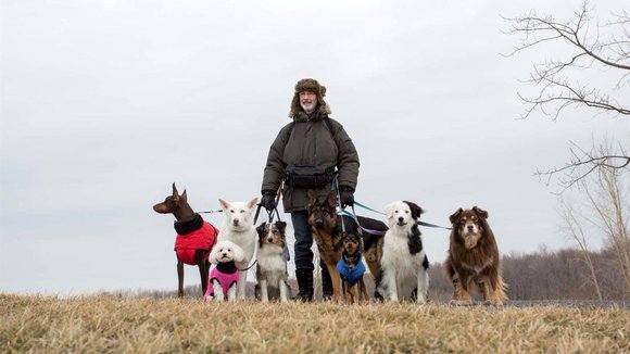 Photo du film La Nouvelle vie de Paul Sneijder