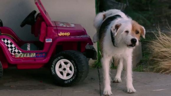 Photo du film Wish I Was Here